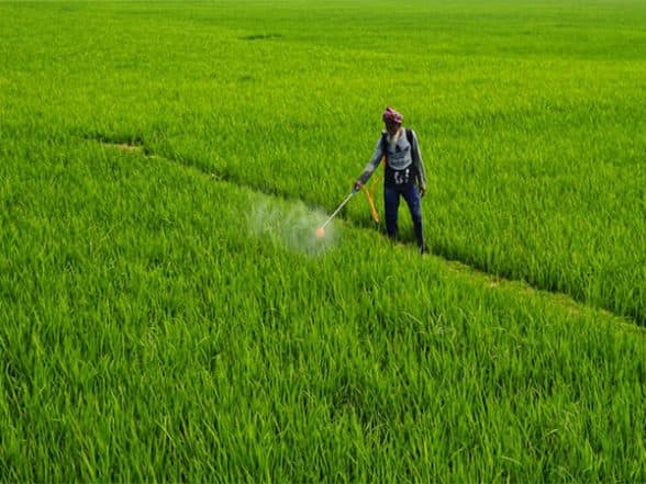Business News | Over 22 Crore Farmers Receive Rs 1.83 Lakh Crore Compensation Under PMFBY Since 2016