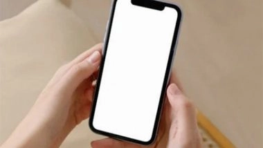 Business News | Digital Media Scooped 46% of India's Rs 1 Lakh Crore+ Ad Spend in 2024-25: Crisil