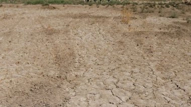 World News | UN Alerts Worsening Drought Endangering Afghanistan's Food Security