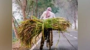 Business News | ISMA Launches National AI Network to Boost Sugarcane Productivity