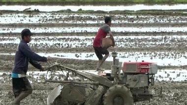 India News | Manipur's Rural Economy Withers as Conflict Keeps Farmers Away from Fields