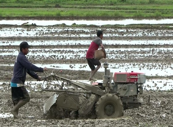 India News | Manipur's Rural Economy Withers as Conflict Keeps Farmers Away from Fields