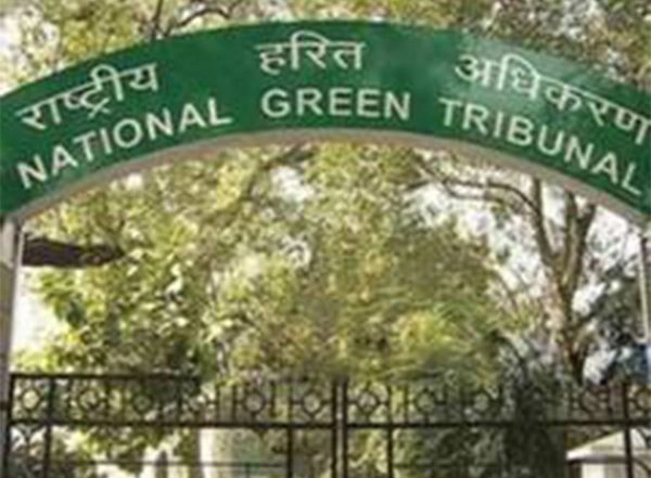 India News | NGT Raps Authorities over Contaminated Groundwater in Dwarka; DJB, DPCC Asked to File Action Reports
