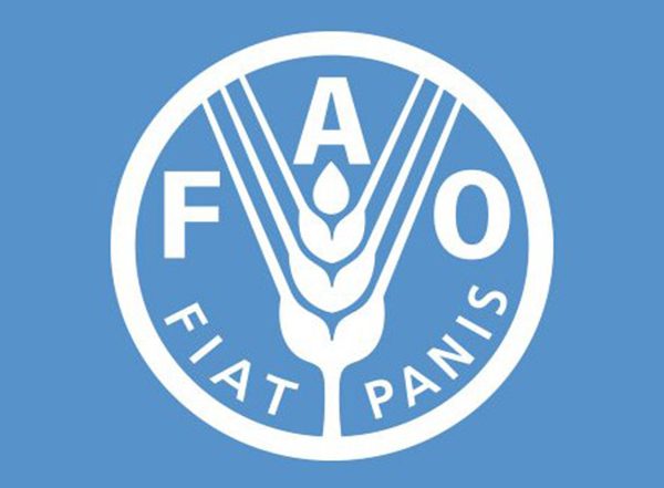World News | FAO Food Price Index Edges Up in July