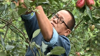 India News | Manipur Farmers Find Sweet Success in Apples