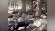India News | Indian Army Canine Teams Deployed for Search Operations in Uttarkashi