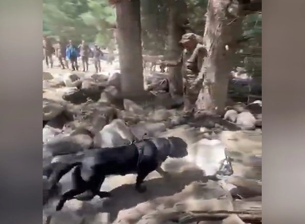 India News | Indian Army Canine Teams Deployed for Search Operations in Uttarkashi