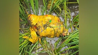 India News | BSF Recovers Pistols and Heroin Along Punjab Border