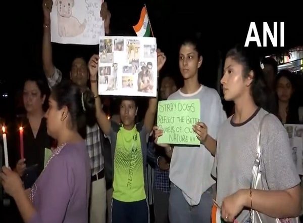 India News | Candlelight March Observed in Rohini Against SC's Order to Remove Stray Dogs from Delhi-NCR Region