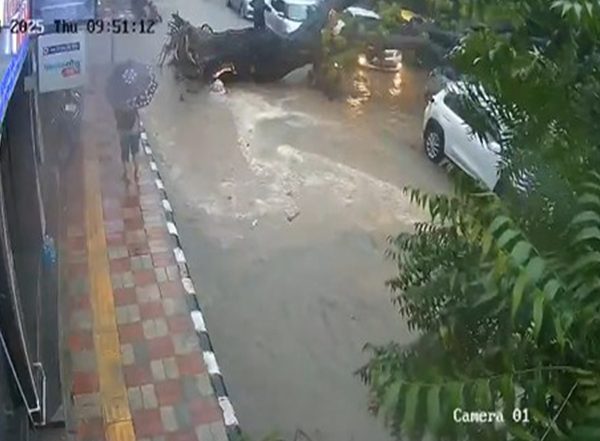 India News | One Dead, One Injured After a Tree Fell on Two People Riding on a Motorcycle Near Paras Chowk, Kalkaji, New Delhi