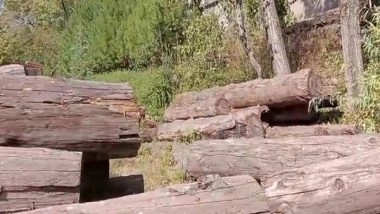 World News | Pakistan: Sindh's Dadu District Witnesses Protest Against Illegal Tree-cutting in Riverbed Areas