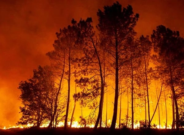 World News | UAE Rescue Team Continues Efforts to Extinguish Wildfires in Albania