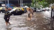 India News | All Schools, Colleges Closed for Tomorrow as IMD Issues Red Alert Warning in Mumbai: BMC