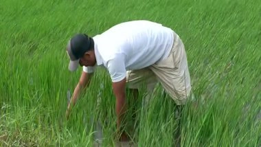 India News | Agrarian Crisis Deepens in Manipur Amid Prolonged Ethnic Violence