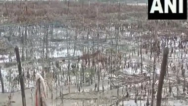 India News | Ramganga River Rising Water Level Triggers Flood Like Situation Destroys Crops in Uttar Pradesh's Moradabad