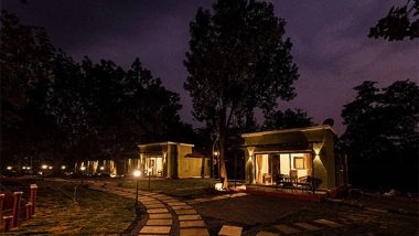 Business News | Impact of Alcohol Addiction on Mental Health: Ending the Cycle of Pain