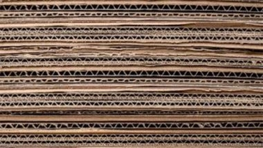 Business News | India Sets Minimum Import Price for Some Paper Boards