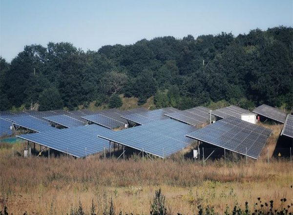 Business News | Solar Rooftops and Pumps Offer Major Opportunities for MSMEs in India and Africa: ISA DG