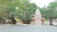 Business News | Historic Paryushan Festival at Siddhavad Tirth, Palitana