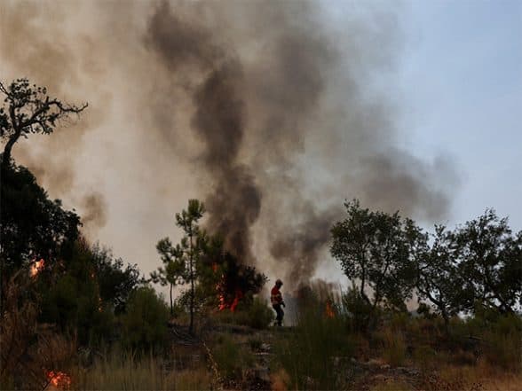 World News | Europe Faces Record-breaking Wildfires as Climate Change Worsens 2025 Season