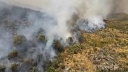 World News | Portugal: Teen Admits to Starting Several Wildfires