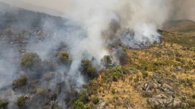 World News | Portugal: Teen Admits to Starting Several Wildfires