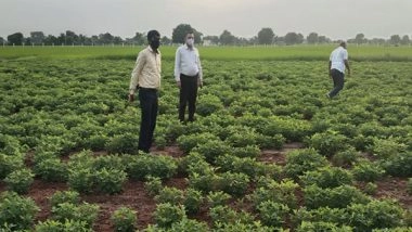India News | Quality and Certified Seeds from Seed Corporation Driving Gujarat's Agricultural Growth