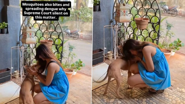 Mosquitoes vs Stray Dogs! Animal Lover Sakshi Gupta Says Mosquito Problem Should Be Fixed First; Netizens Point Out They’re Already Killed in Disinfectant Drives