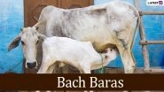 Bach Baras 2025 Images and Bachbaras Wishes in Hindi for Free Download Online: Share Happy Bach Baras With WhatsApp Status Messages and Greetings on the Auspicious Day