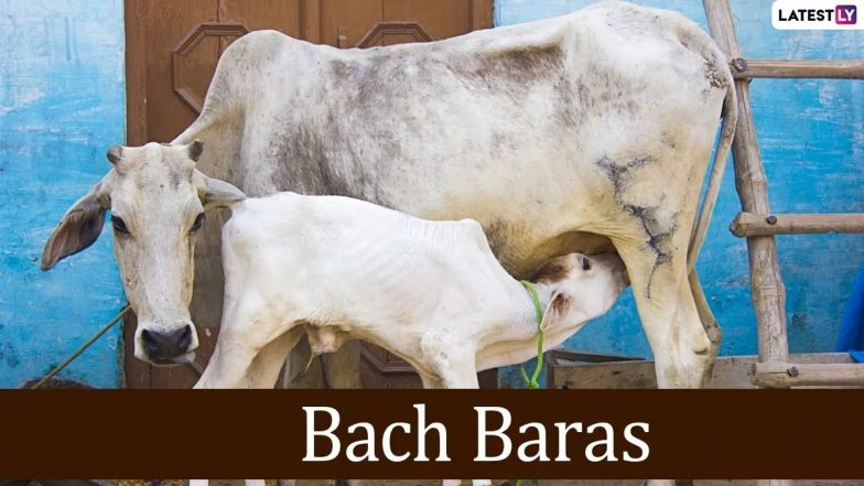 Bach Baras 2025 Images and Bachbaras Wishes in Hindi for Free Download Online: Share Happy Bach Baras With WhatsApp Status Messages and Greetings on the Auspicious Day