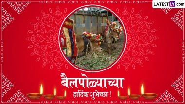 Pola 2025 Wishes in Marathi and Bail Pola Images: WhatsApp Status Messages, HD Wallpapers and SMS for the Rural Harvest Festival