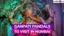 Ganesh Chaturthi 2025 in Mumbai: From Lalbaugcha Raja to Khetwadi Ganraj; 7 Popular Ganpati Pandals To Visit During This Year’s Ganeshotsav