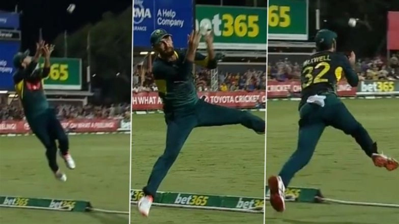 Glenn Maxwell Shows Incredible Presence of Mind, Takes Magnificent Boundary Catch To Dismiss Ryan Rickelton During AUS vs SA 1st T20I 2025 (Watch Video)