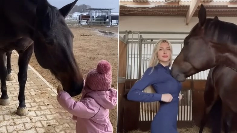 Horse and Girl Viral Video Link: A Bunch of Viral Videos That Prove the Horse-Girl Bond Is Unbreakable