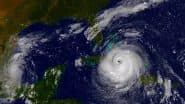 Hurricane Erin Live Tracker Map on Windy: Mandatory Evacuation Order Issued for Hatteras Island As Erin Downgraded to Category 3 Hurricane, Tropical Storm Warning Issued for Turks and Caicos Islands