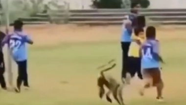 Old Video of Monkey Attacking Young Cricketers at Local Cricket Ground Goes Viral, Watch Animal Chase Kids During Practice!