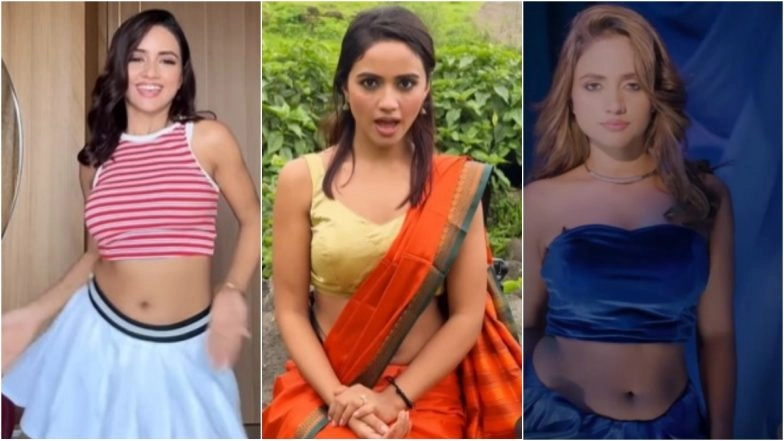 Nisha Guragain Viral Memes Video: As TikTok Unban India Rumours Gain Momentum, Fans Eye Popular Indian TikToker (Watch Trending Instagram Reels)