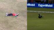 Shimron Hetmyer 'Falling Catch' Viral Video: No it is Not from CPL 2025, Grok Provides Wrong Info About West Indies Cricketer’s Sensational Effort