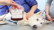 Blood Bank for Animal: In Major Step Forward for Veterinary Healthcare, India Launches First-Ever National Guidelines for Animal Blood Transfusion, Blood Banks