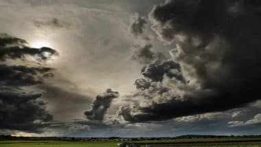 Weather Forecast Today, August 20: Heavy Rain, Thunderstorms Expected in Maharashtra and Madhya Pradesh; IMD Issues Red Nowcast Warning for Mumbai, Thane, Palghar, Raigad, and Ratnagiri Districts