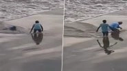 Yavatmal: Elderly Man Swept Away by Strong River Current After Losing Balance in Maharashtra, Video Surfaces