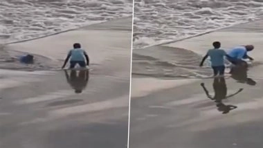 Yavatmal: Elderly Man Swept Away by Strong River Current After Losing Balance in Maharashtra, Video Surfaces