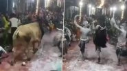 Bull Attack in Farrukhabad: Several Injured After Bull Rams Into Crowd During Shiv Tandav Performance in Uttar Pradesh; Video Surfaces