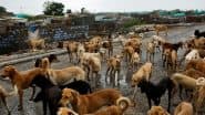 ‘Make the Streets Completely Free of Stray Dogs’: Supreme Court Orders Immediate Removal of Dogs From Delhi-NCR Streets