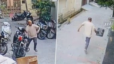 Monkey Attack in Hapur: UP BJP Leader Praveen Sethi Injured After Troop of Monkeys Pounce on Him, Video Goes Viral