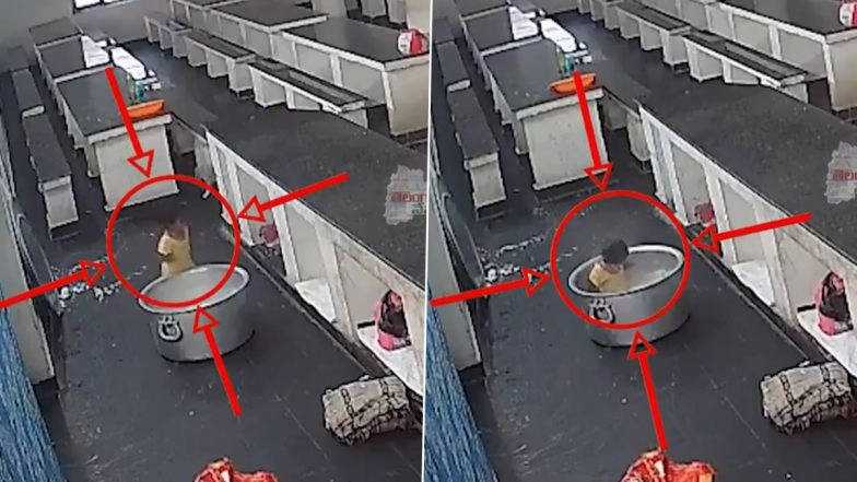 Andhra Pradesh: Toddler Dies After Falling Into Boiling Milk Container While Playing With Cat at Ambedkar Gurukul School Kitchen in Anantapur, Disturbing CCTV Video Surfaces