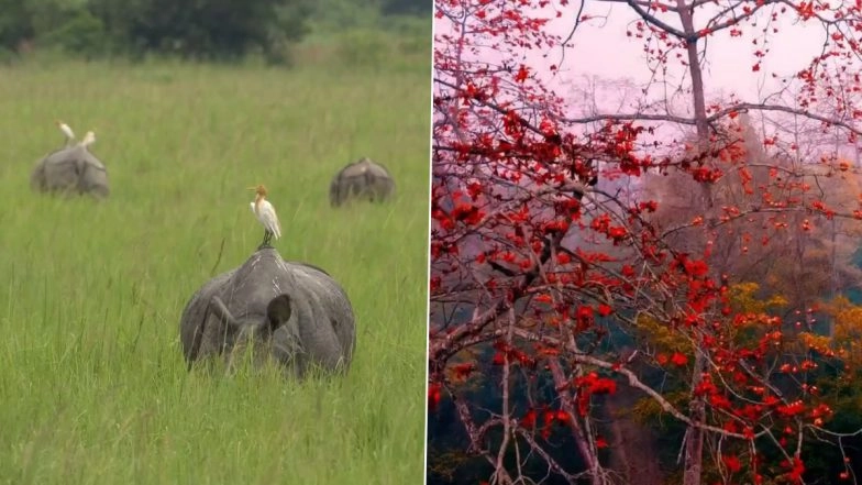 Assam: Kaziranga National Park Opens Bagori Range for Tourists Ahead of Durga Puja; Tributes Paid to Singer Zubeen Garg at Inauguration (Watch Video)