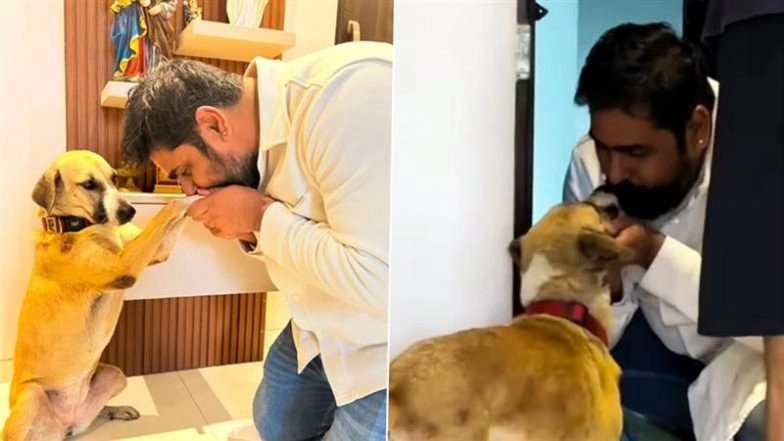 Mall Dog Laila Found: Missing for Over 100 Days, Mumbai’s Beloved Stray Dog Found in Borivali’s IC Colony (Watch Video)