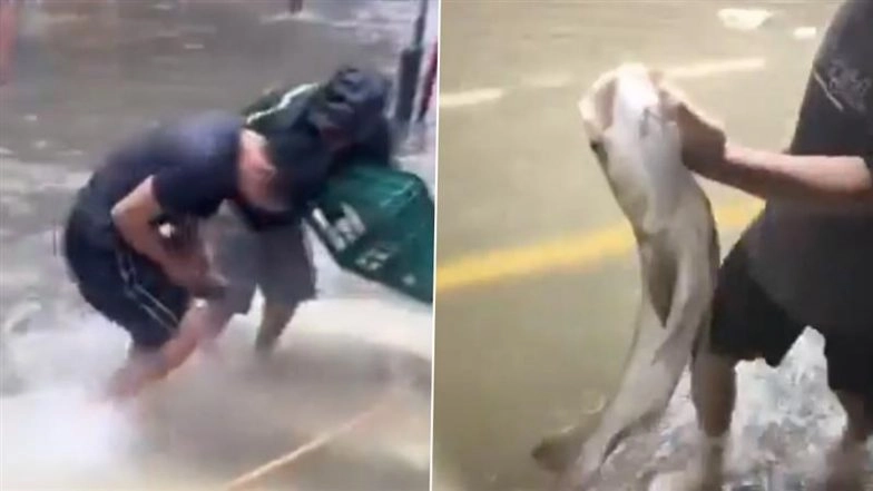 Super Typhoon Ragasa Leaves Macao Streets Flooded, Residents Seen Fishing in Floodwaters (Watch Videos)