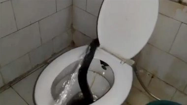 Cobra Found on Toilet Seat in Kota: Panic in Hostel of JK Lone Hospital As Venomous Snake Slithers Into Bathroom Through Commode, Video Surfaces